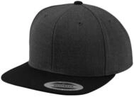Flexfit Flex Cap Flexfit Unisex Classic Snapback 2-Tone