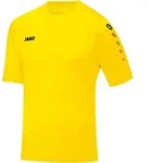 Jako Fu&szlig;balltrikot Trikot Team KA citro M