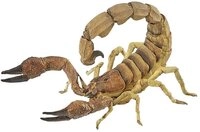 papo Actionfigur Papo 50209 Skorpion