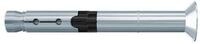 fischer Bolzenanker fischer Hochleistungsanker FH II 10/25 SK 50 Stk