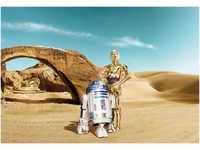 Komar Fototapete Star Wars Lost Droids, 368x254 cm (Breite x Höhe), inklusive