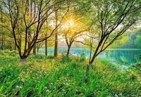 Komar Fototapete Spring Lake - Gr&ouml;&szlig;e 368 x 254 cm, glatt, bedruckt,...