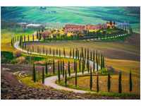 Papermoon Fototapete Fields in Tuscany, glatt