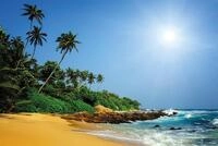 Papermoon Fototapete Sri Lanka Tropical Beach, glatt