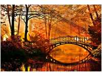 Papermoon Fototapete Misty Park Bridge, glatt
