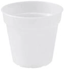 Elho Anzuchttopf Anzuchttopf Green Basics 15 transp.