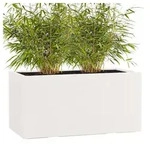 Pflanzwerk&reg; Pflanzk&uuml;bel TUB Premium Fiberglas Blumenk&uuml;bel Frostbest&auml;ndig mit