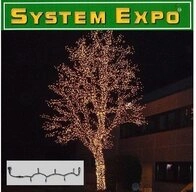 STAR Systemlichterkette 484-02 System Expo Lichterkette-Start 100er klar