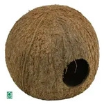  Cocos Cava 950 cm x 1110 cm x 1110 cm