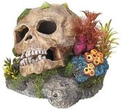Nobby Aquariendeko Aquariendekoration Totenkopf mit Pflanzen 13,5 x 13,5 x 10,5...