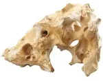 Europet-Bernina Aquariendeko Aquariumdekoration Combofellas 17.5 cm x 23 cm x 34 cm