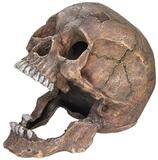 Nobby Aquariendeko Aquariendekoration Totenkopf