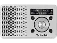 TechniSat DIGITRADIO 1 silber Radio