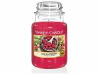 Yankee Candle Red Raspberry Housewarmer 623g