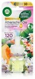 Air Wick Raumduft Air Wick Duft&ouml;lflakon Sommervergn&uuml;gen 19ml - Raumduft (1er...