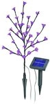 esotec LED Solarleuchte Esotec Solar LED Bl&uuml;tenstrauch pink
