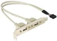 Delock DeLOCK USB 2.0 Slotblende, 10 Pin Header > 2x USB-Kabel