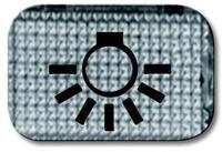 Busch-Jaeger Schalter Busch-Jaeger Tastersymbol Licht 2145 LI