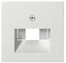 GIRA Abdeckplatte Gira Zentraleinsatz rws-gl f.UAE-IAE-Anschlu&szlig; 027003