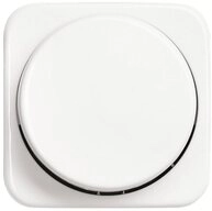 Busch-Jaeger Busch-Jaeger Zentralscheibe aws f&uuml;r Drehdimmer 2115-214