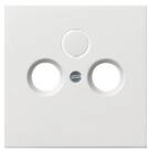 GIRA Abdeckplatte Gira Zentralplatte Antenne rws-gl 0869112