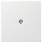 GIRA Abdeckplatte Gira Zentraleinsatz rws-gl f.Schnurableitung 027403
