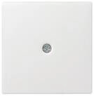 GIRA Abdeckplatte Gira Zentralpl.Schnurabl. rws System55 027427