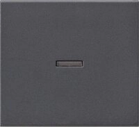 GIRA Schalter GIRA 029028 Wippe Kontrollfenster System 55 Anthrazit