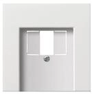 GIRA Klemmen Gira Zentralplatte TAE rws-gl 0276112