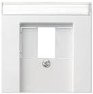 GIRA Abdeckplatte Gira Zentralplatte TAE rws m.Schriftf.,System55 087627
