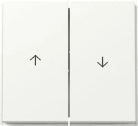 GIRA Schalter GIRA 329403 Wippe 2fach Pfeil System 55 Reinwei&szlig; gl&auml;nzend