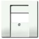 Busch-Jaeger Abdeckplatte Busch-Jaeger Zentralscheibe stws mt f.UAE/TAE/LS...
