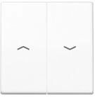 JUNG Schalter Jung Wippe Symbole aws f&uuml;r Taster AS 591-5 P WW