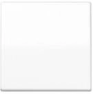 JUNG Jung Wippe aws f&uuml;r Taster AS 591 WW Wandtaster