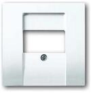 Busch-Jaeger Abdeckplatte Busch-Jaeger Zentralscheibe dav/sws f.UAE/TAE/LS...