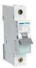 Hager Schalter Hager Leitungsschutzschalter 1pol. B-25A, 6kA MBN125
