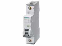 SIEMENS Schalter Siemens 5SY41026 5SY4102-6 Leitungsschutzschalter 2 A 230 V,...