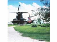 Walimex Pro Fotohintergrund Fotomotiv-Hintergrund 'Amsterdam', 3x6m