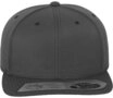 Flexfit Flex Cap Flexfit Unisex 110 Fitted Snapback