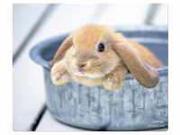 Speedlink Mauspad Mouse-Pad Maus-Pad Motiv Rabbit dünn 1,5mm, Baby Hase, Mouse...