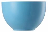 Thomas Porzellan M&uuml;slischale Sunny Day Waterblue M&uuml;slischale 12 cm, Porzellan,