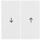 Berker Schalter Berker Wippe pws/gl Symbol Pfeil 16258989