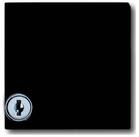 Busch-Jaeger Abdeckrahmen Busch-Jaeger Zwischenring anth mit Klappdeckel 2118...