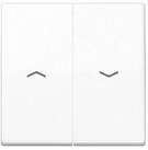 JUNG Klemmen Jung Wippe Symbole aws AS 591-5 PBF WW