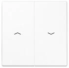 JUNG Schalter Jung Wippe Symbole aws f&uuml;r Taster LS 995 P WW