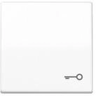 JUNG Jung Wippe Symbol T&Uuml;R aws f&uuml;r Taster AS 591 T WW Wandtaster