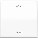 JUNG Schalter Jung Wippe Symbole aws f&uuml;r Taster AS 591 P WW