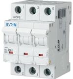 EATON Stromsto&szlig;schalter Eaton LS-Schalter m.Beschrift. PXL-C50/3