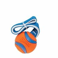 Chuckit Tierquietschie Ultra Tug M 6 cm