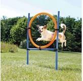 TRIXIE Agility-Reifen Fun Agility Ring - blau/orange - 115 &times; &oslash; 3 cm, &oslash; 65 cm,